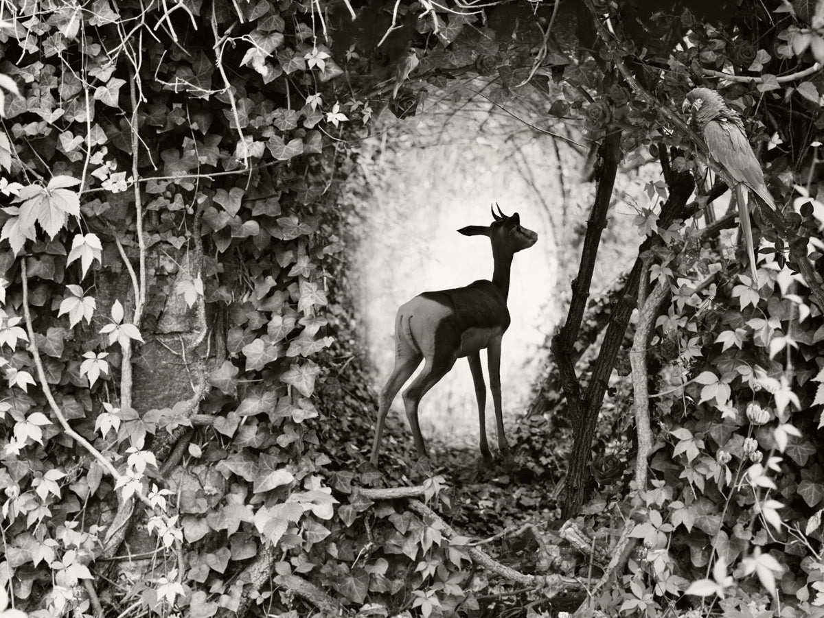 The Portal III, 2022