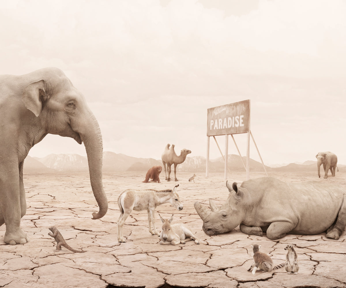 The Promised Land, 2022