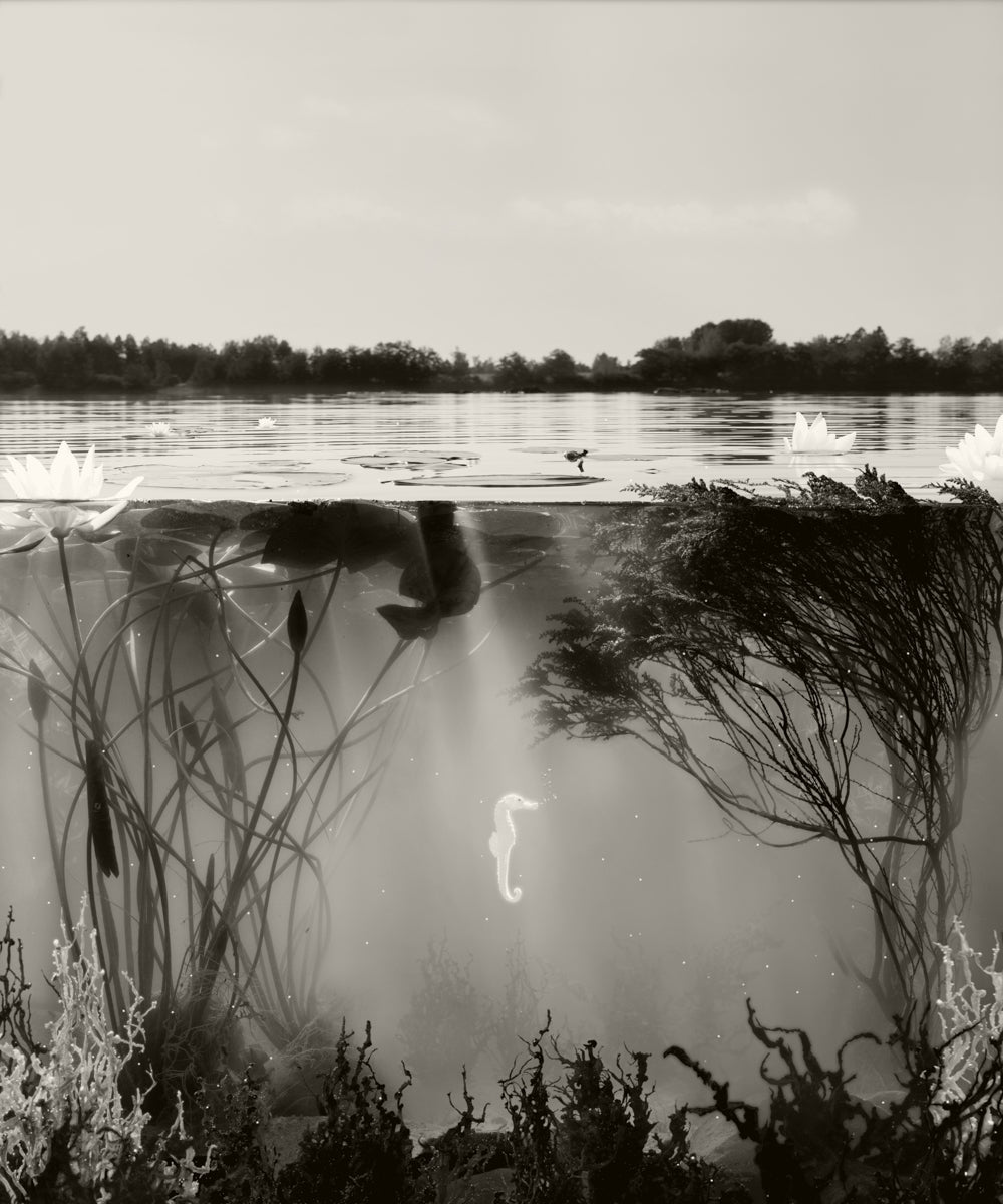 Until the End of All Time, 2022