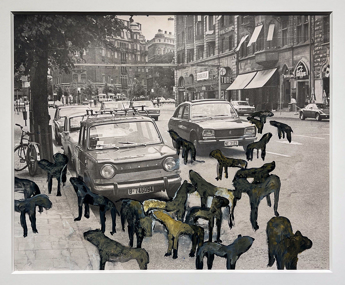 Ingens Hundar - Birger Jarlsgatan