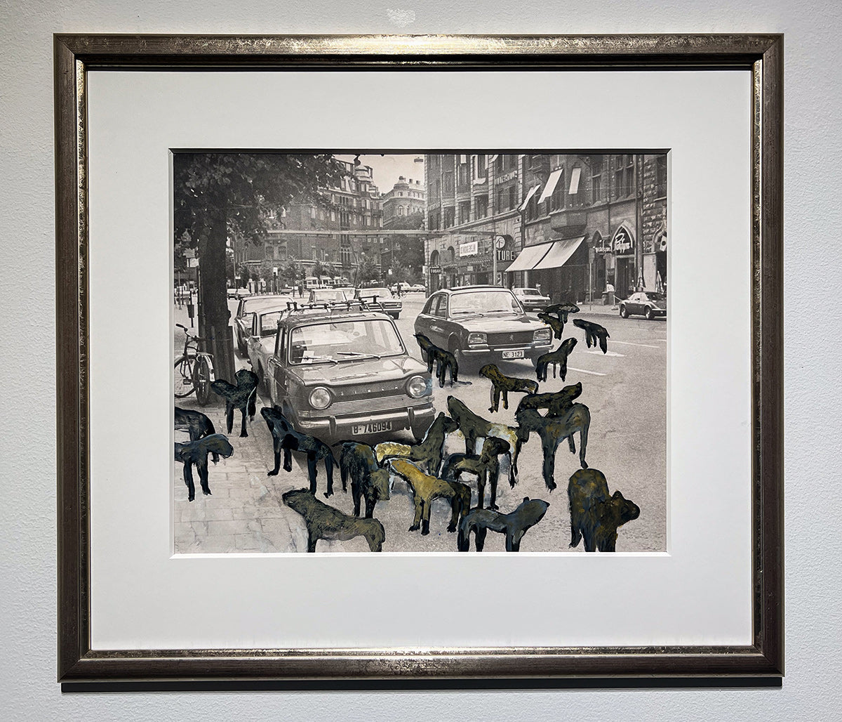 Ingens Hundar - Birger Jarlsgatan