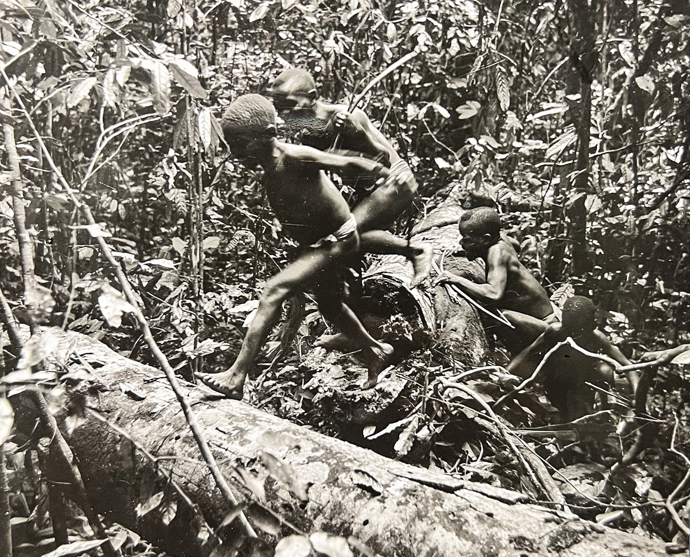 Pygmies in the jungle outside Stanleyville (now Kisangani), then Belgian Congo in 1948