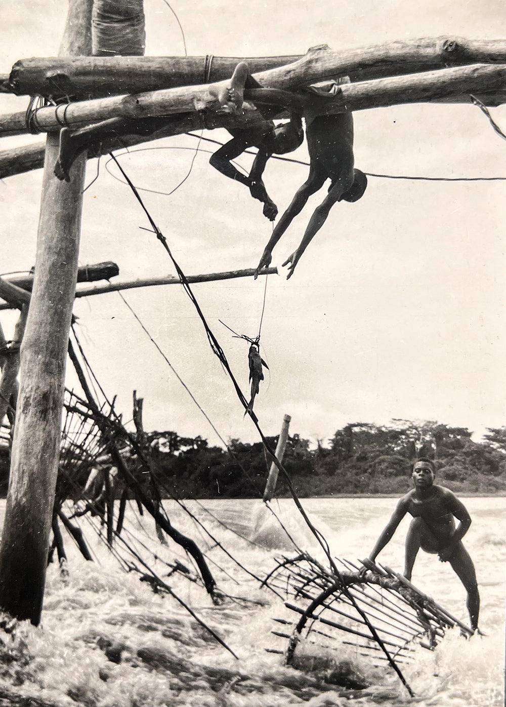 The fishermen of Lualaba, then Belgian Congo in 1948