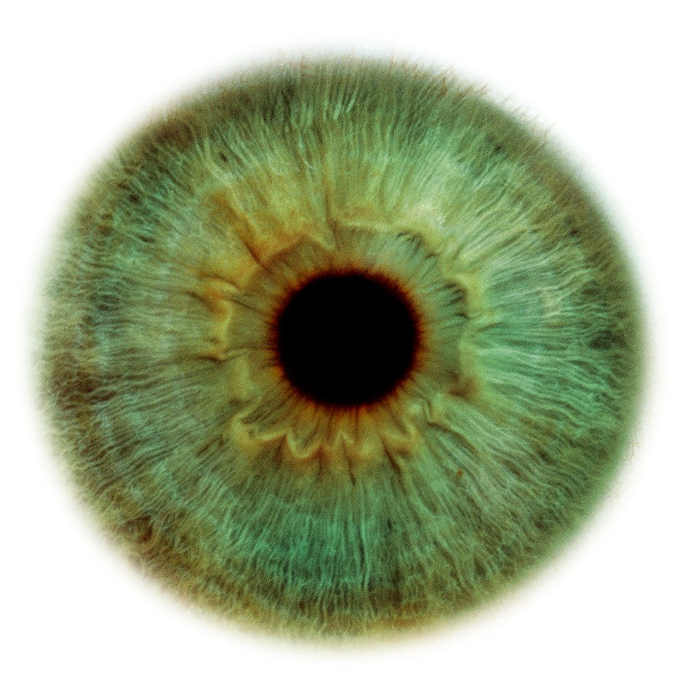 Jerry “Eyescape” 2007