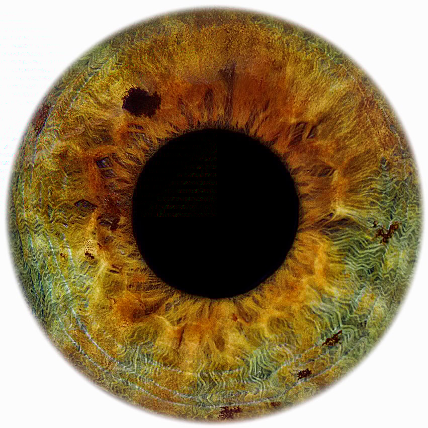 Kate Moss “Eyescape” 2012