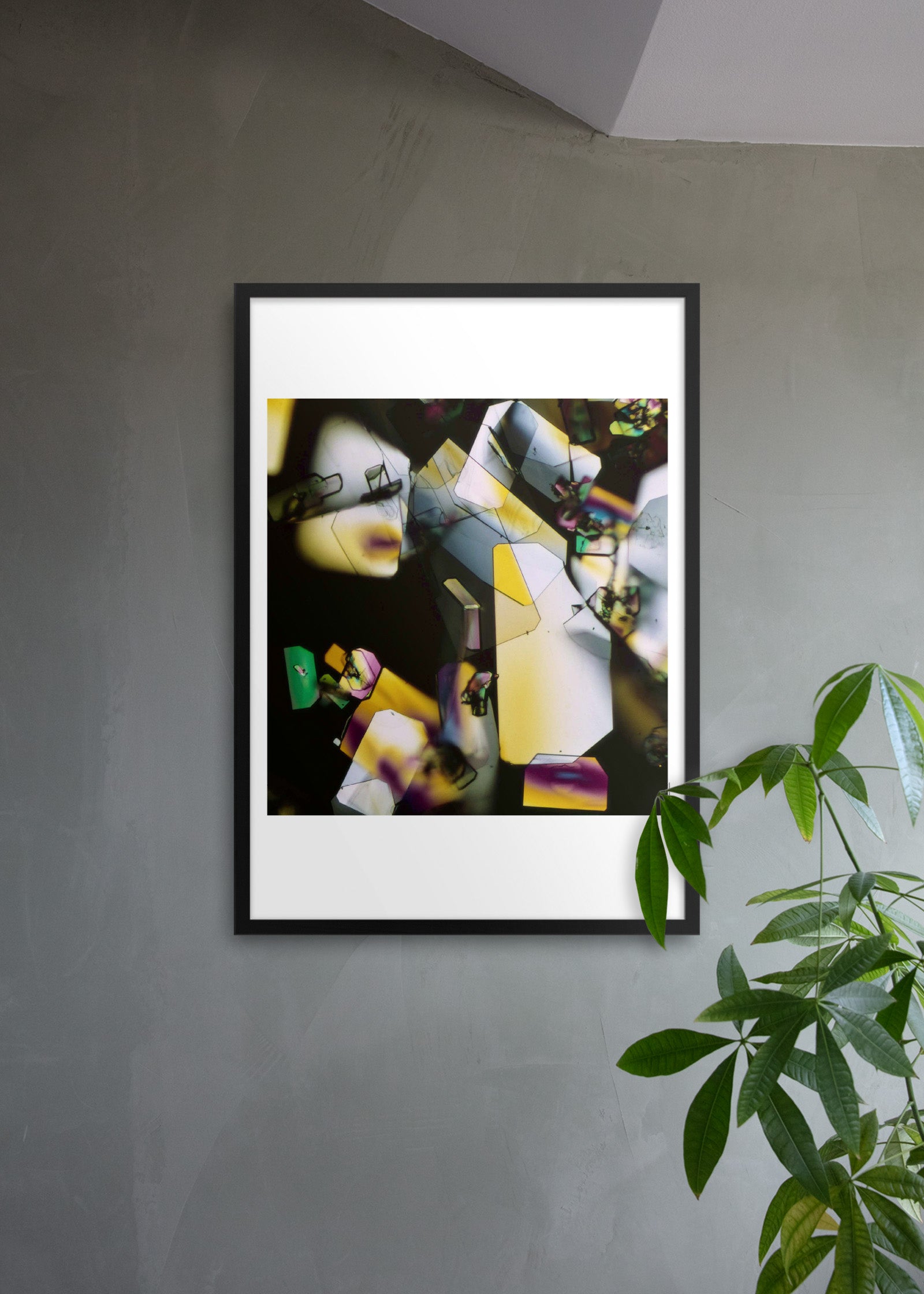 Estrogen, crystallized, 1971 “Hormones”