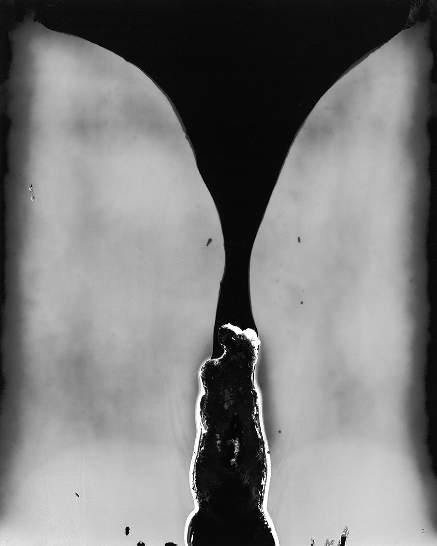 Emulsion 2 “Undertow”, Oaxaca 2019