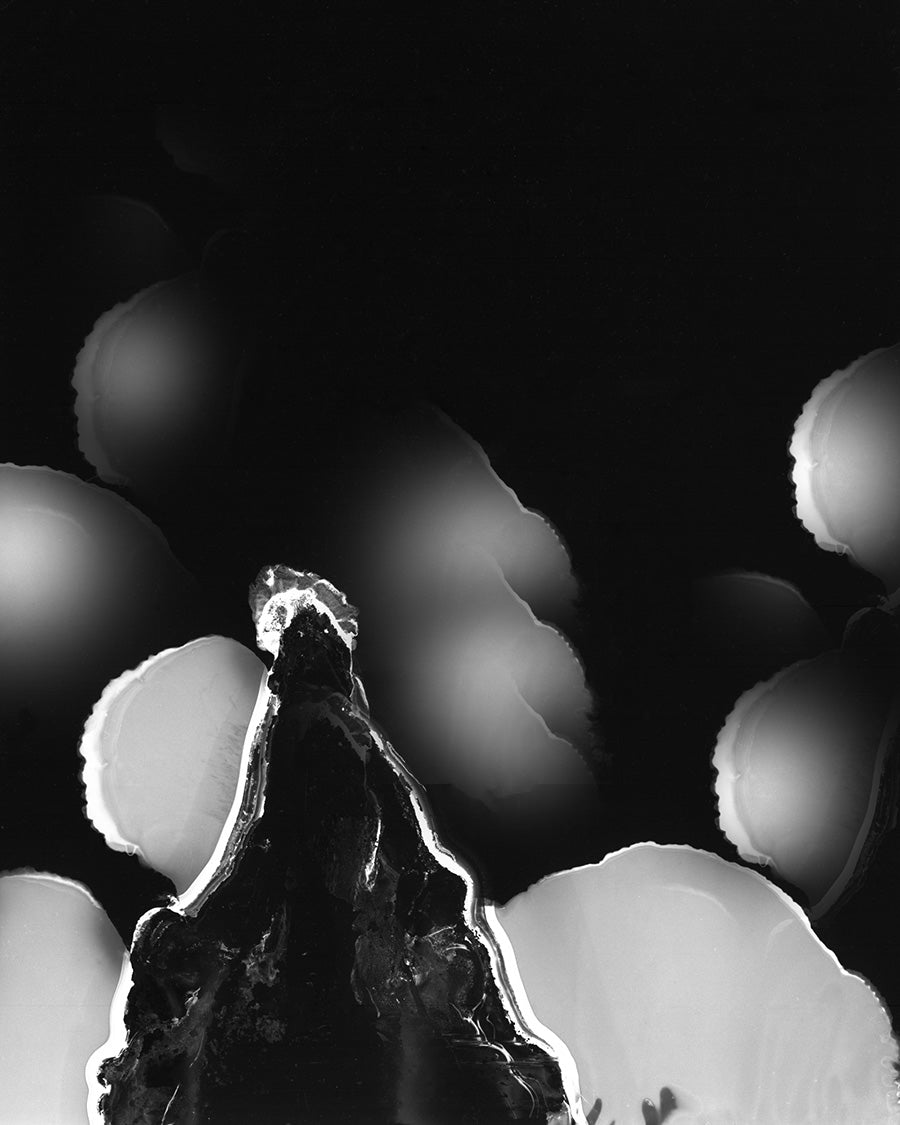 Emulsion 1 “Undertow”, Oaxaca 2019