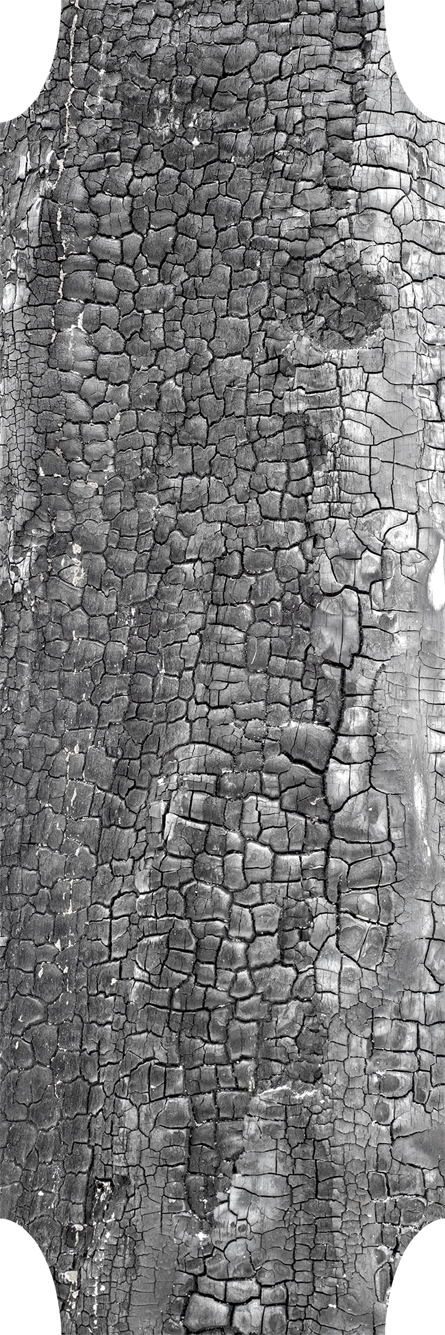 Mirroring nature #11, 2019