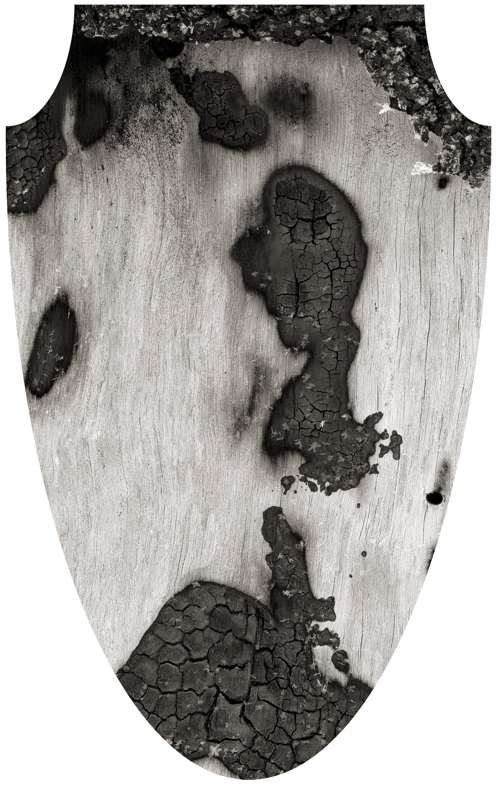 Mirroring nature #17, 2019