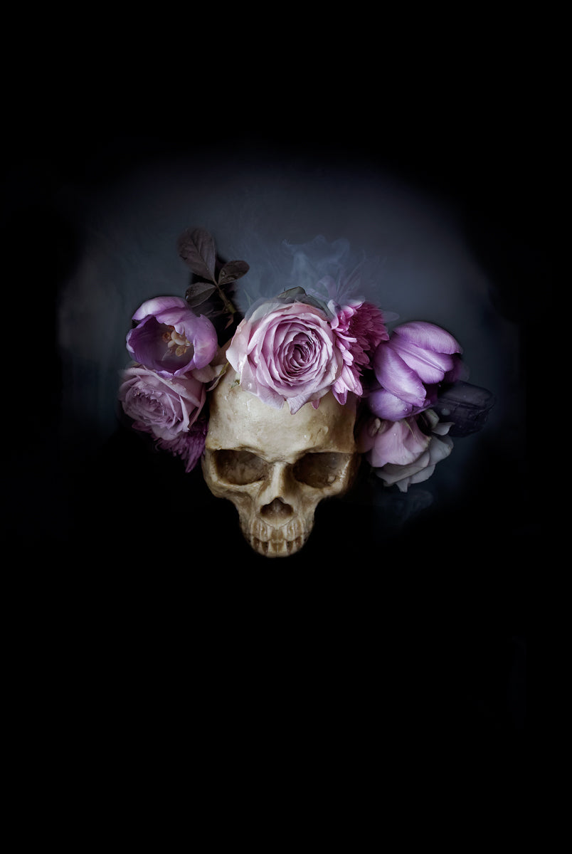 Night Bloom, Daylight Fading