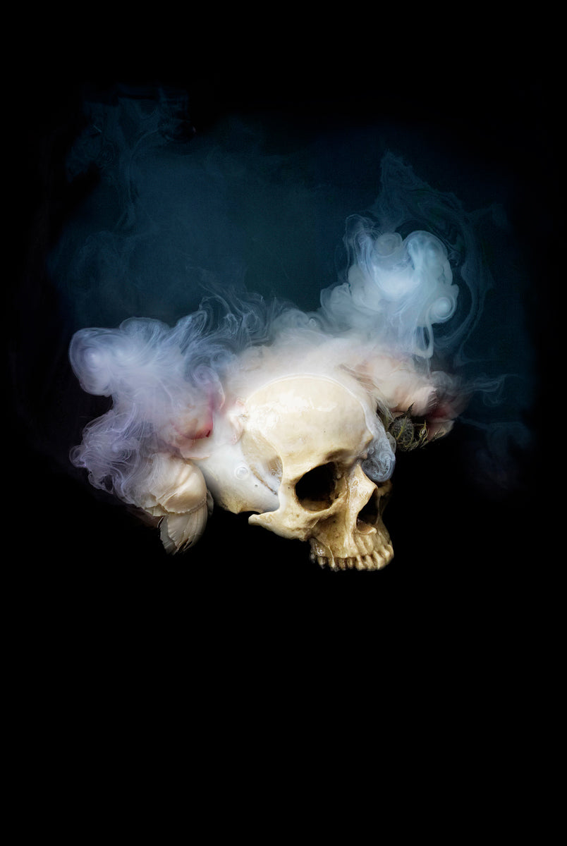 Night Bloom, Night Thoughts