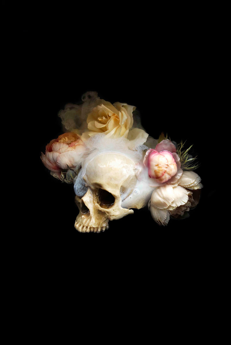 Night Bloom, Night Thoughts 2