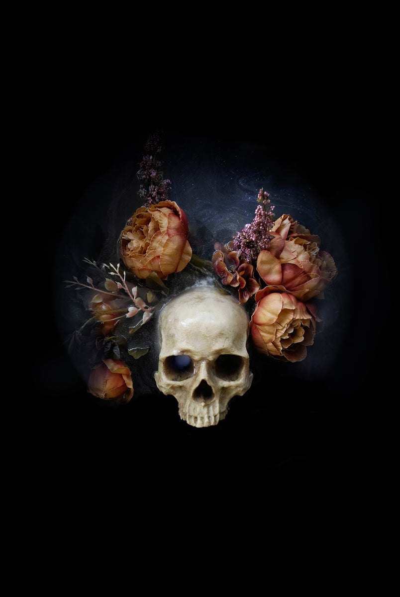 Night Bloom, Harvest