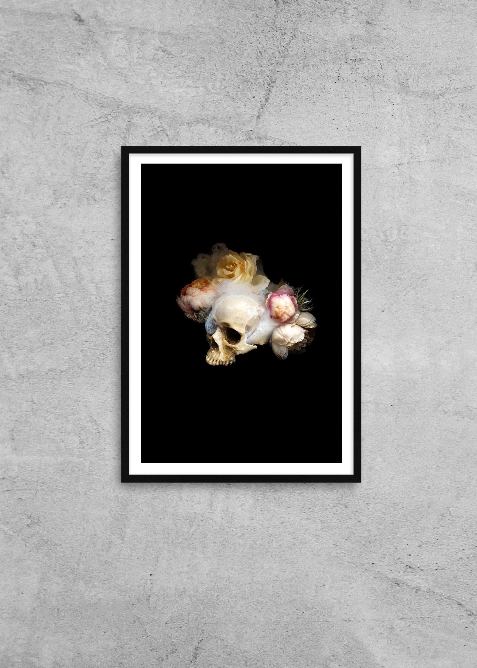 Night Bloom, Night Thoughts 2