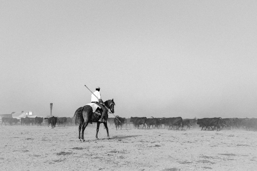 Os Campinos do Ribatejo