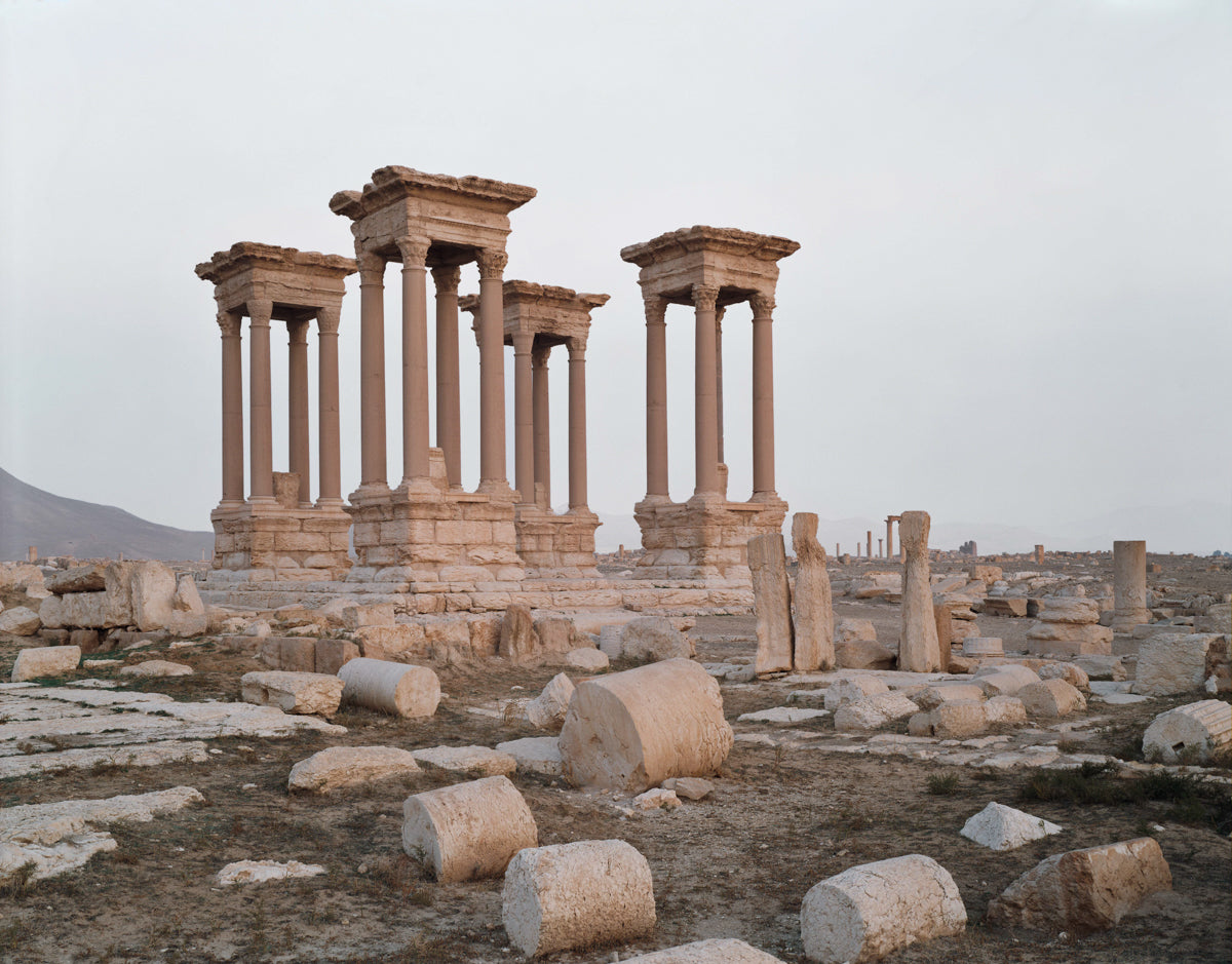 Palmyra #1