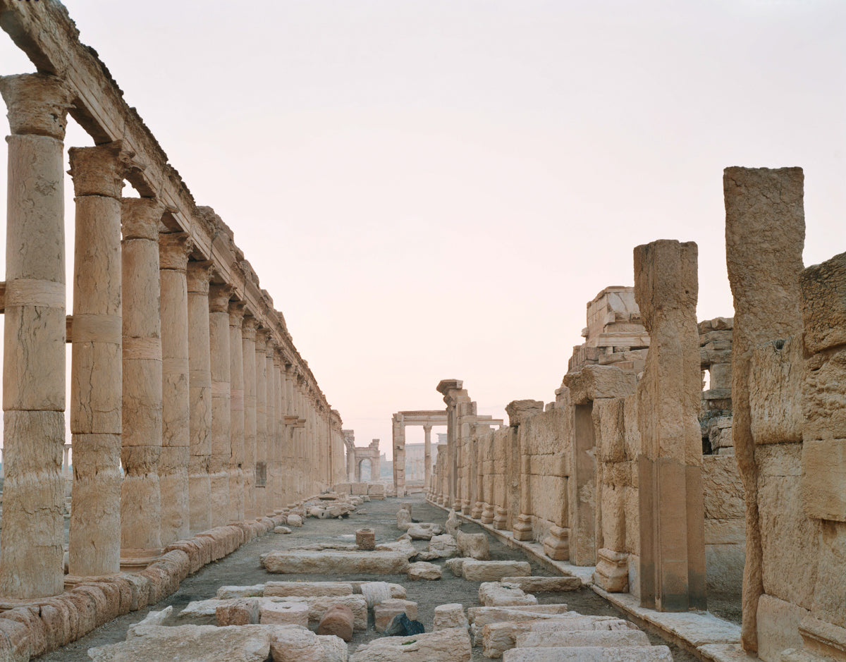 Palmyra #4