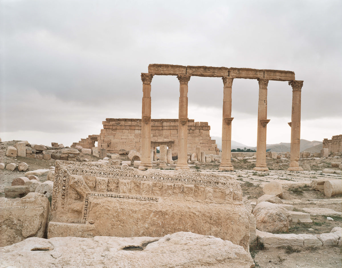 Palmyra #8