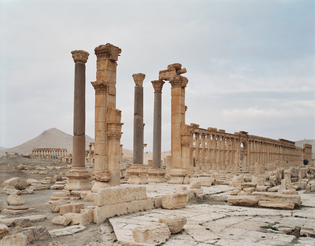 Palmyra #10