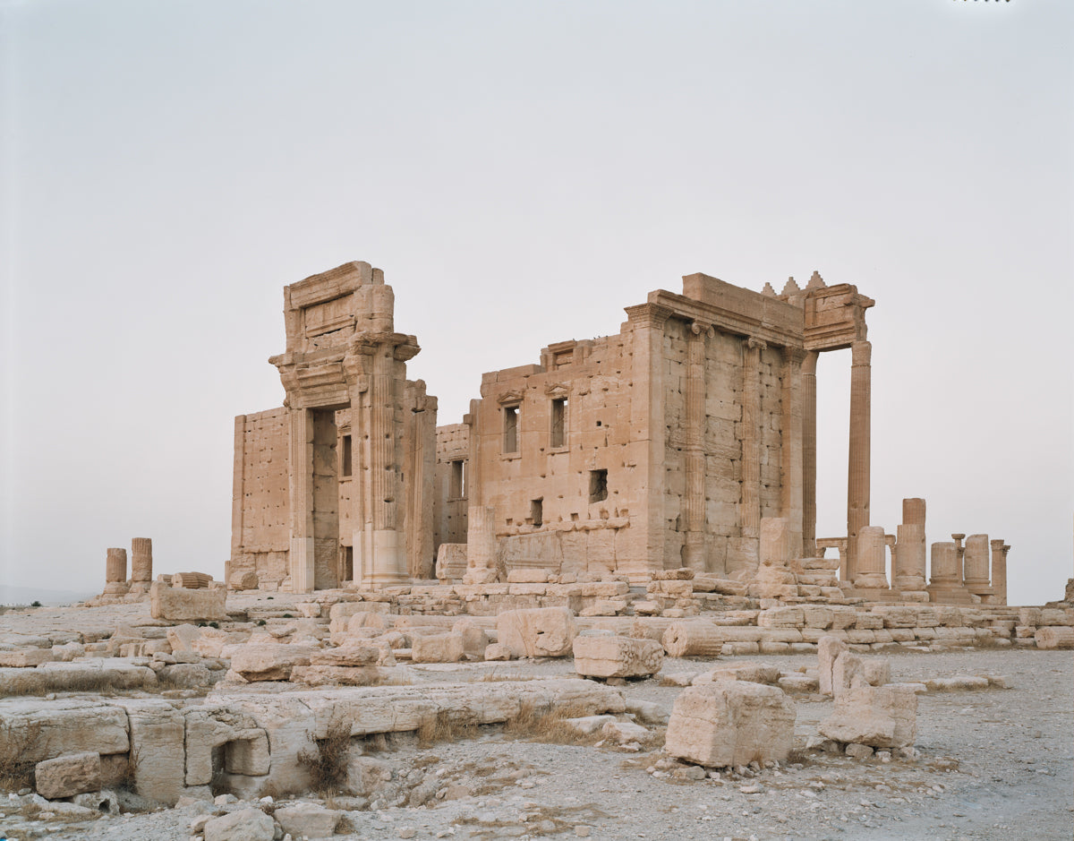 Palmyra #7
