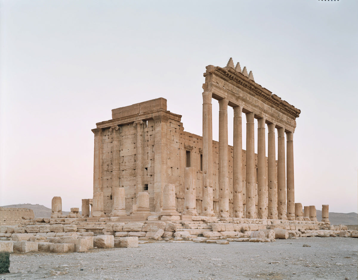 Palmyra #6