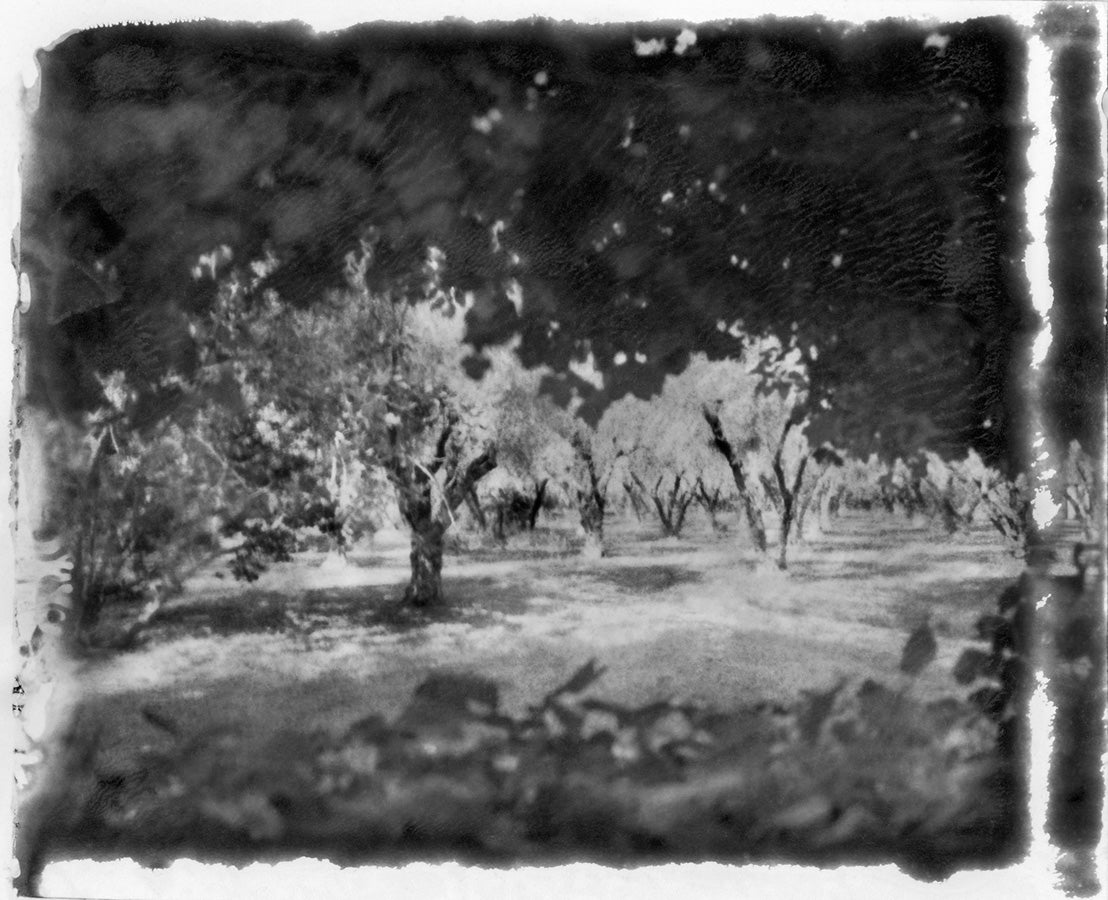 Secret Garden “Undertow”, Marrakech 2020