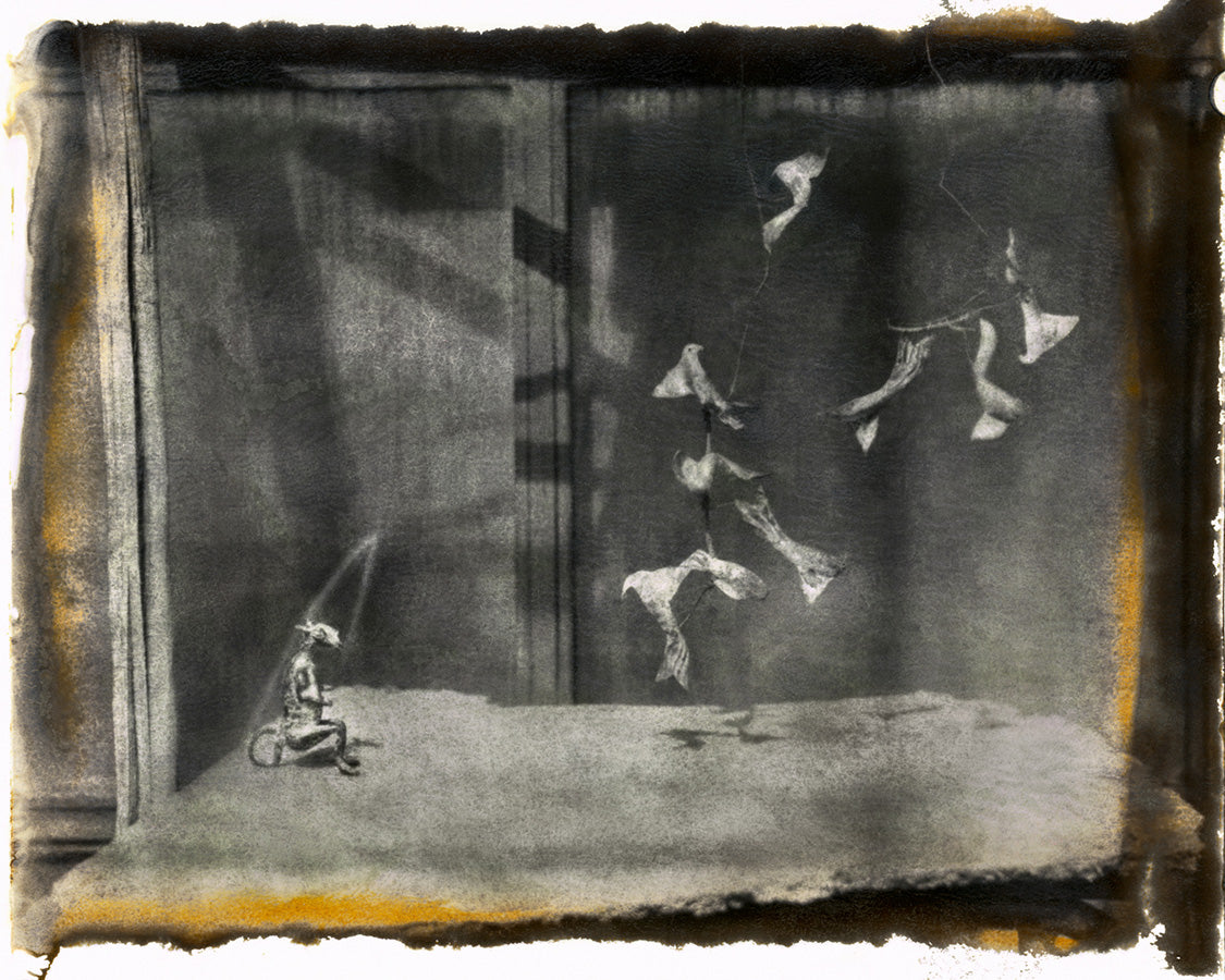 Showtime “Undertow”, Morocco 2019