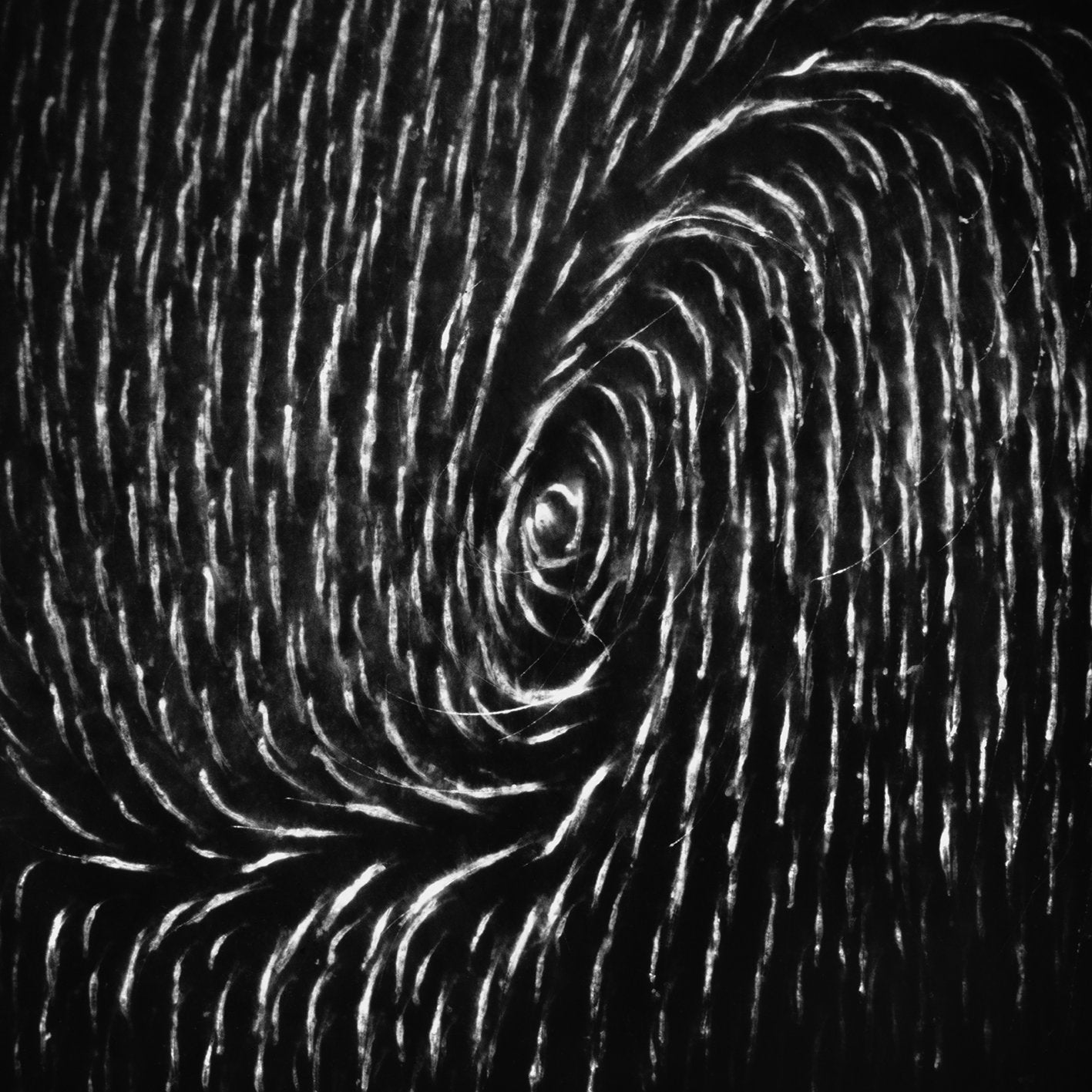 A swirl of hair on the forehead “A child is born”, 1965/2011