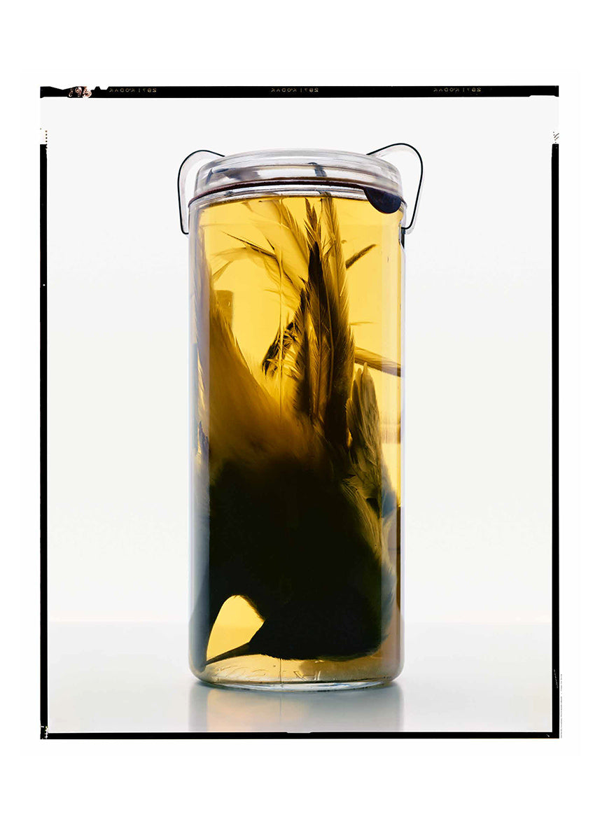 Untitled #3 “Formalinné”