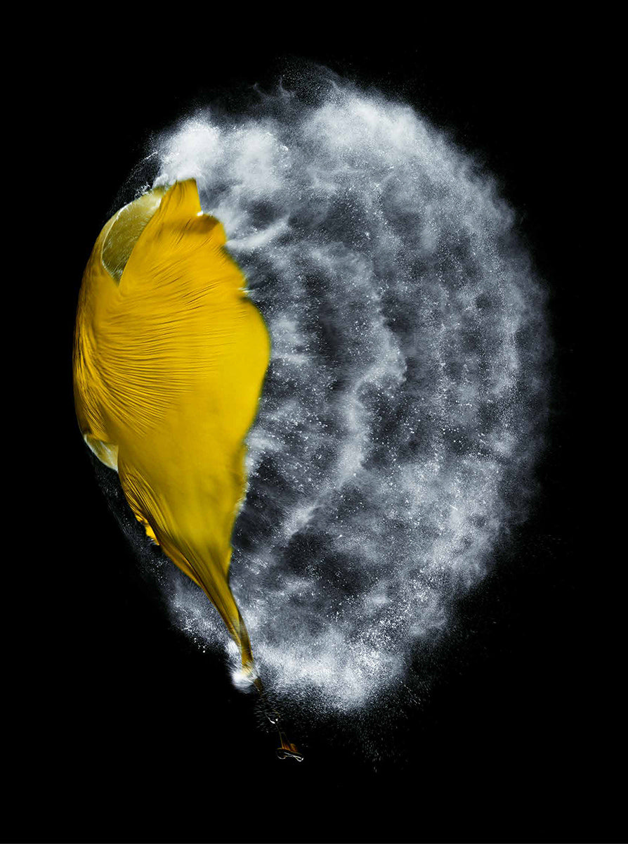 Untitled #1 “Bon”