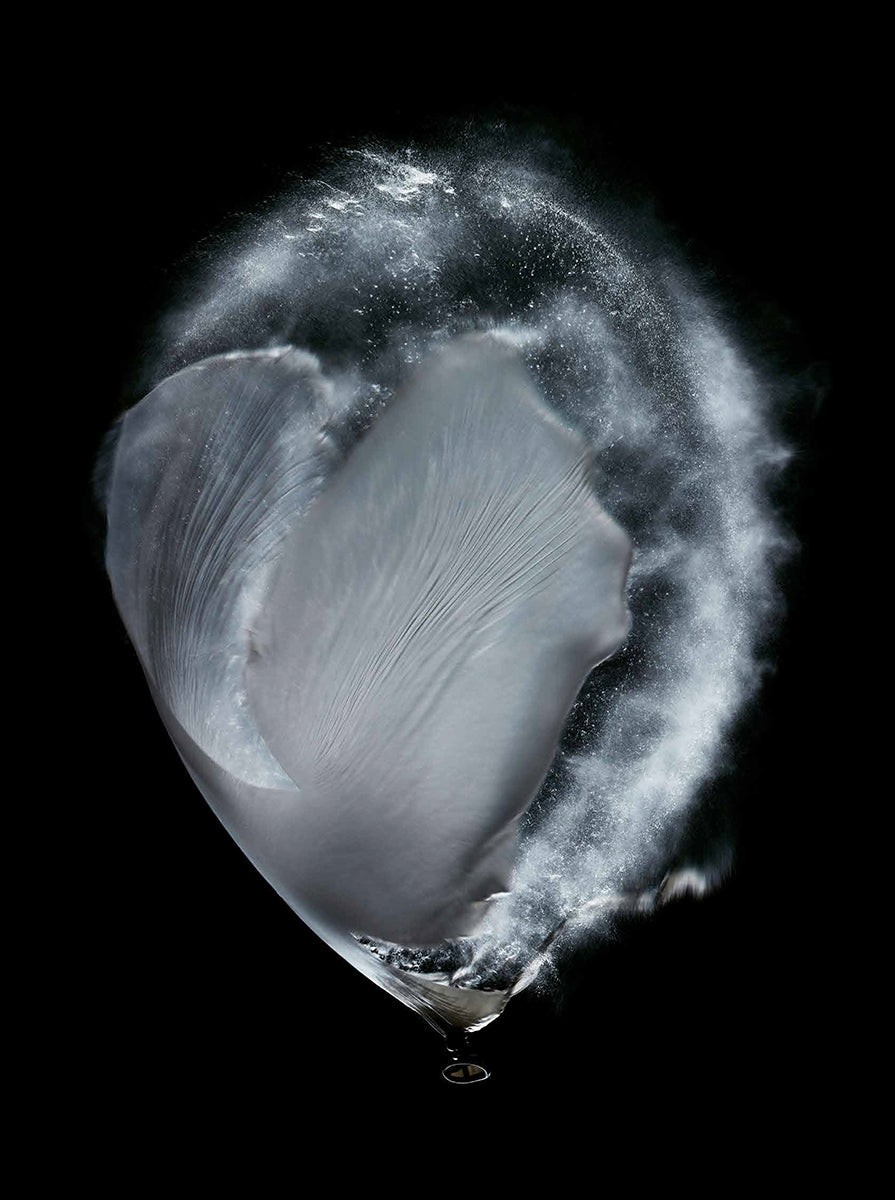 Untitled #5“Bon”