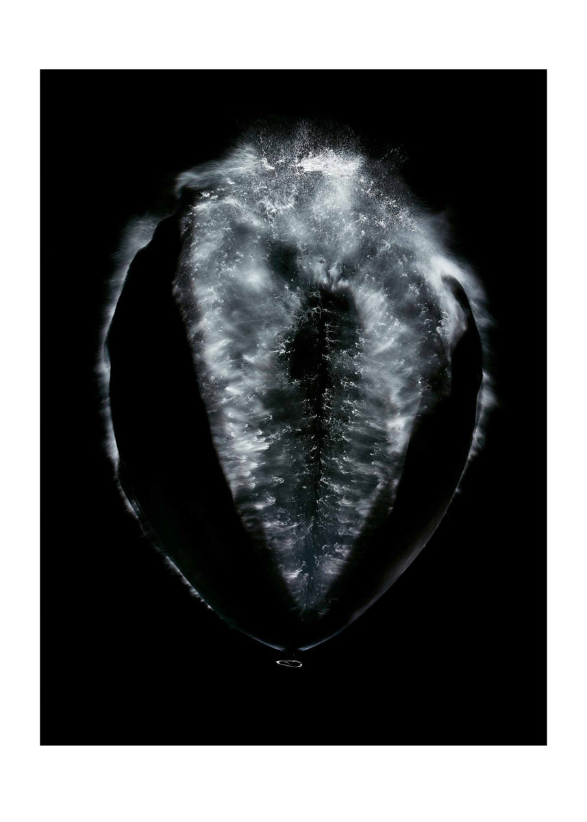 Untitled #8 “Bon”