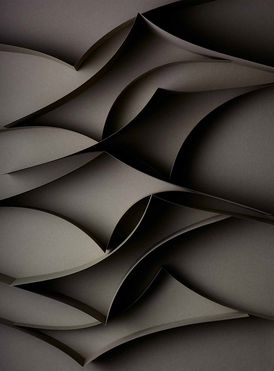 Untitled #8 “Transitions Pt2”