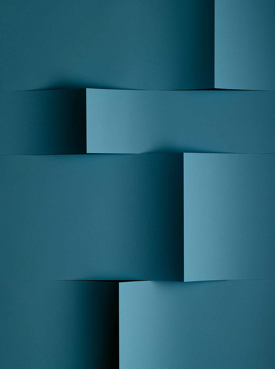 Untitled #2 “Transitions Pt3”