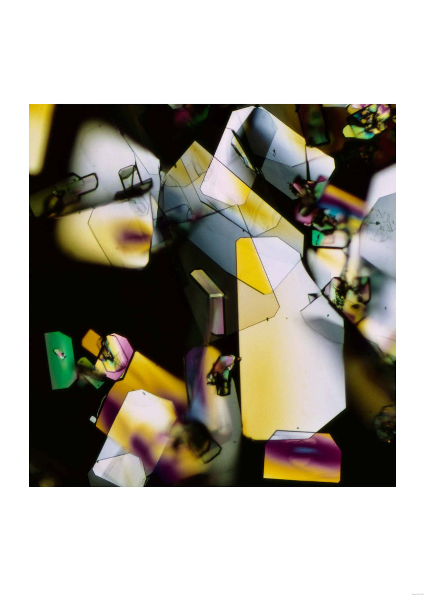 Estrogen, crystallized, 1971 “Hormones”