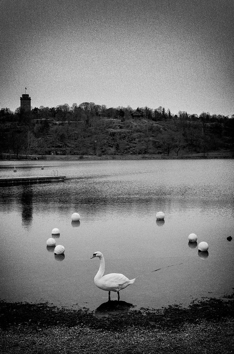 Untitled #1 “A Familiar Place”