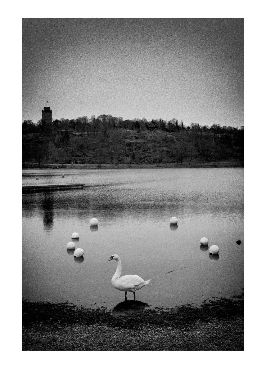 Untitled #1 “A Familiar Place”