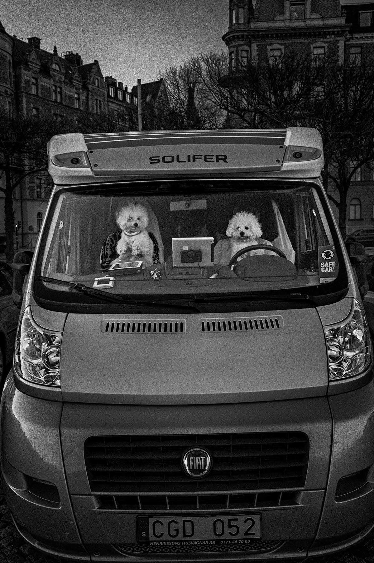 Untitled #4 “A Familiar Place”