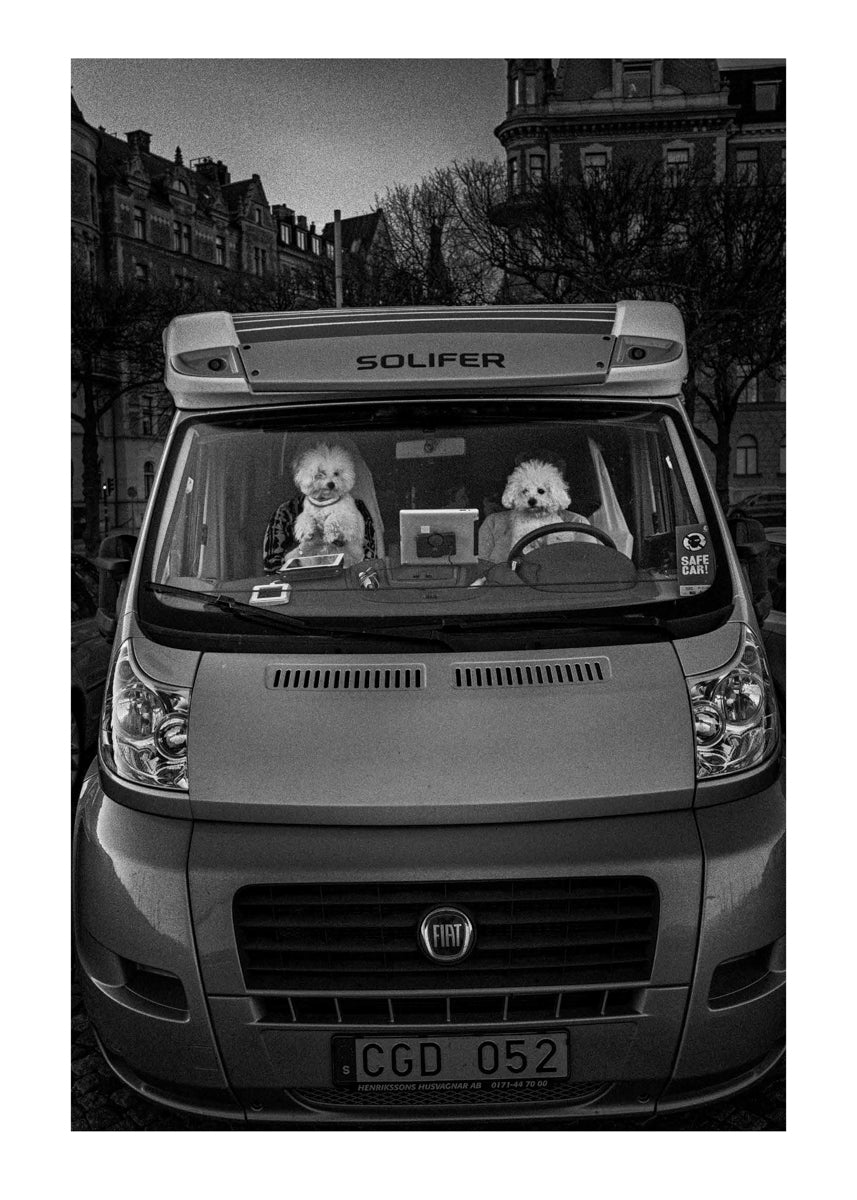 Untitled #4 “A Familiar Place”