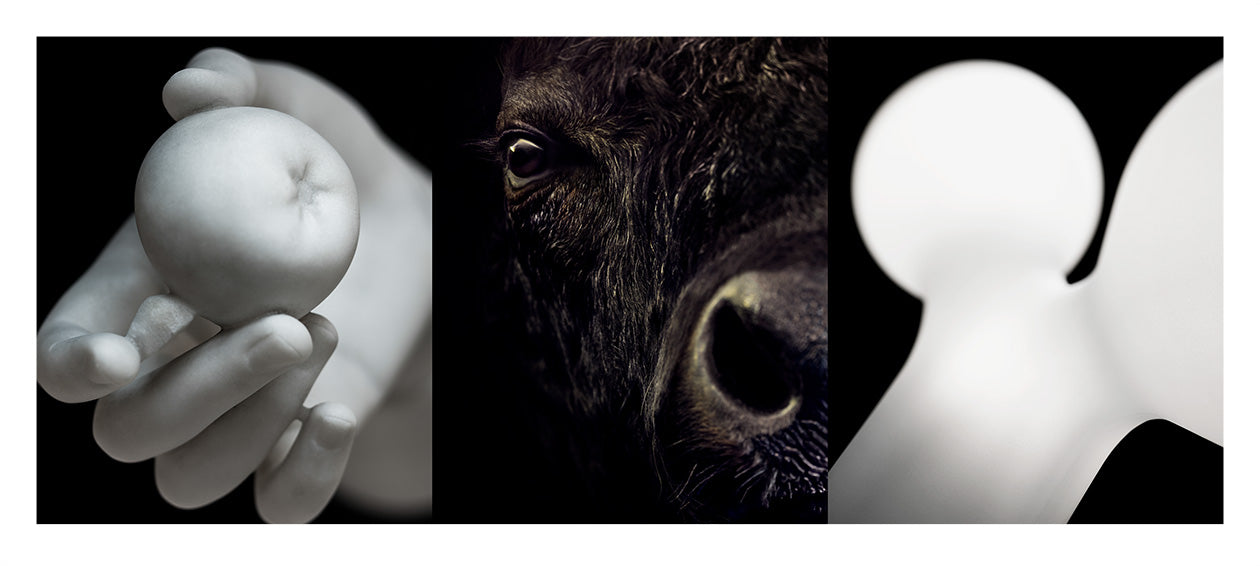 From the serie: Diptychs &amp; Triptychs. #11