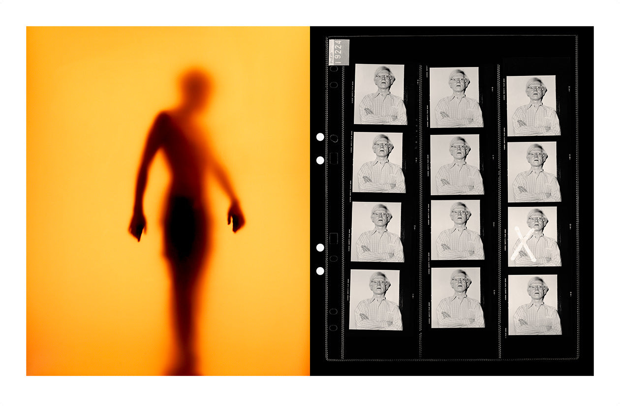 From the serie: Diptychs &amp; Triptychs. #5