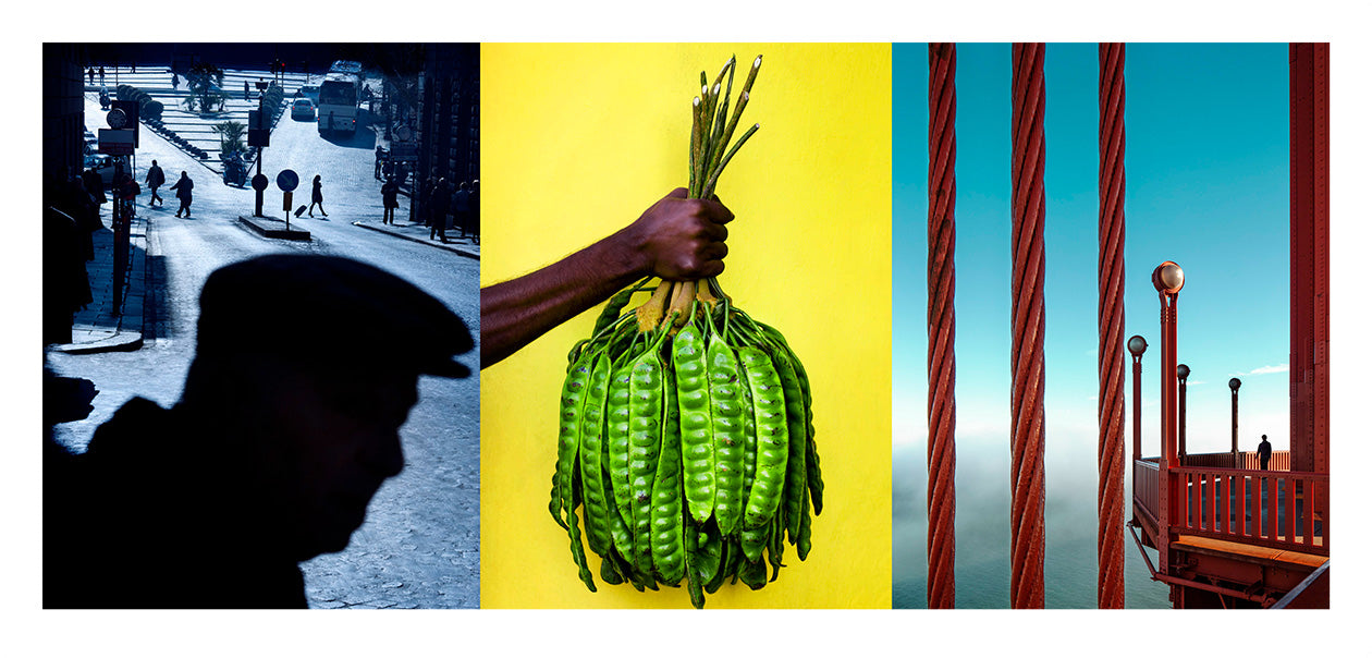 From the serie: Diptychs &amp; Triptychs. #8