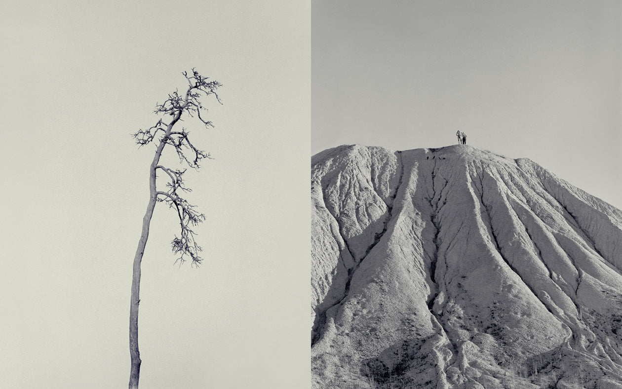 From the serie: Memories of #5