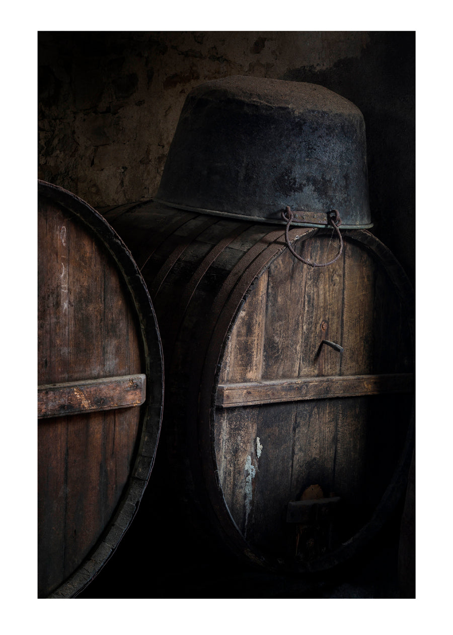 From the serie: Single Shot. #12