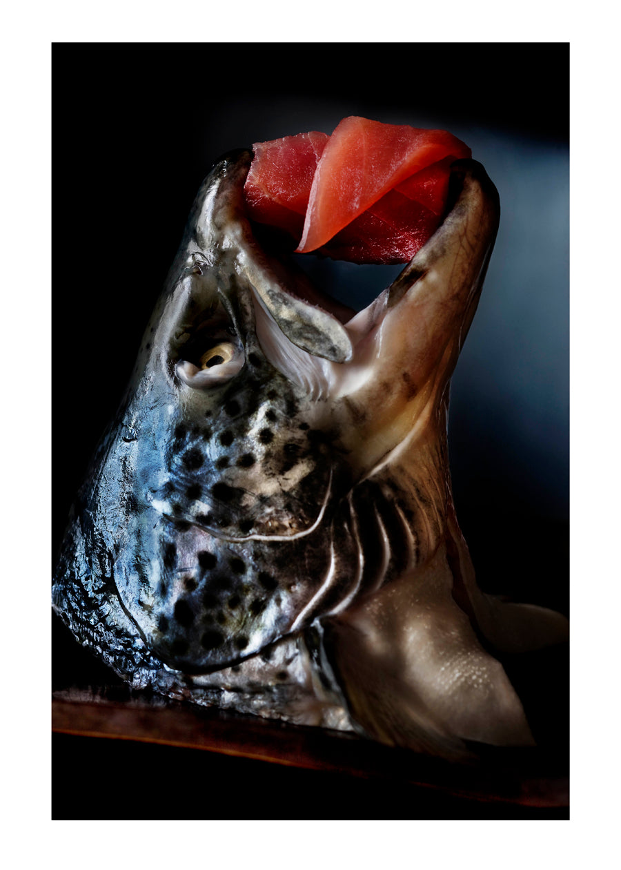 From the serie: Single Shot. #7