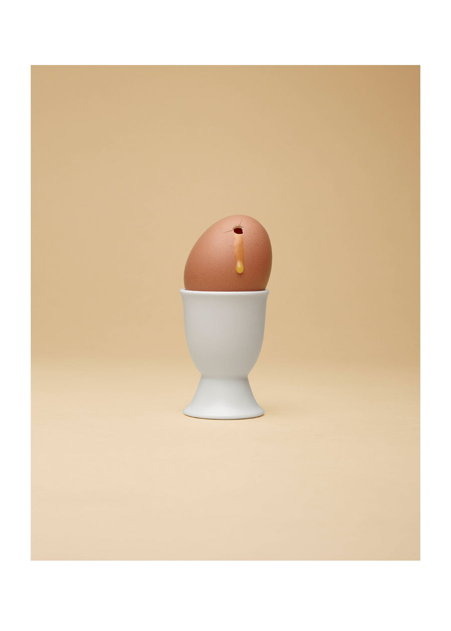 EXECUTED EGG