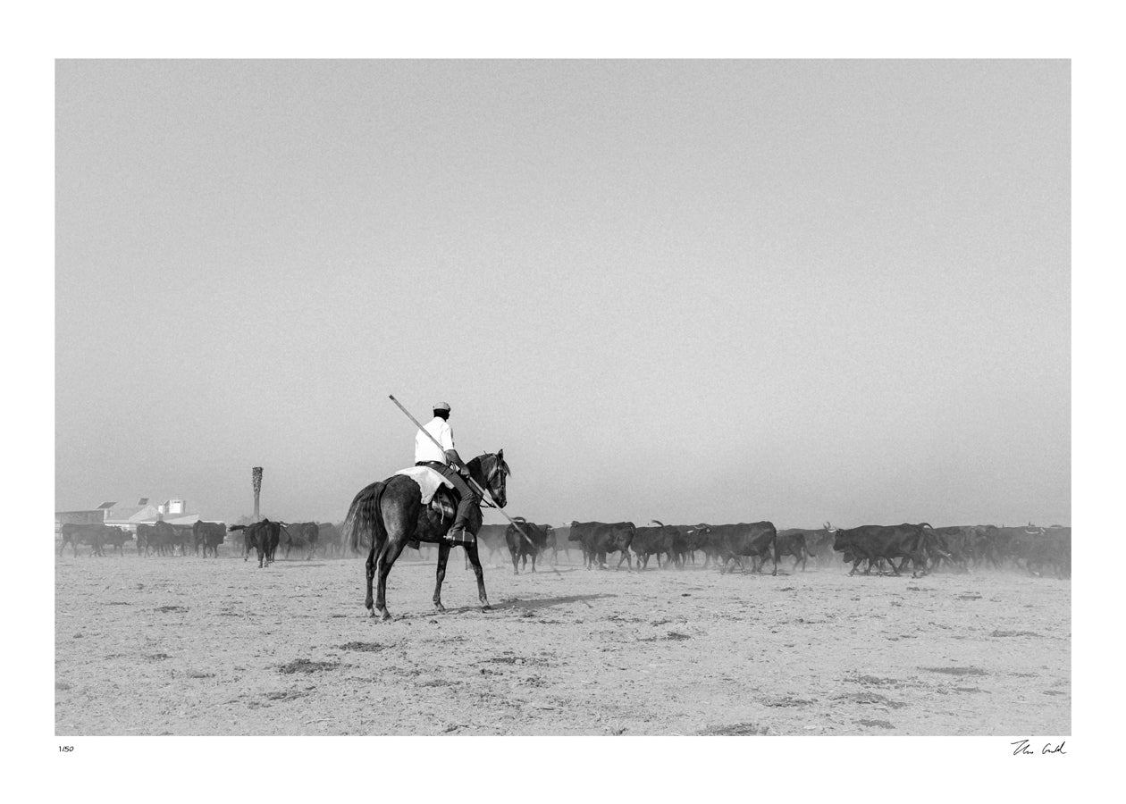 Os Campinos do Ribatejo