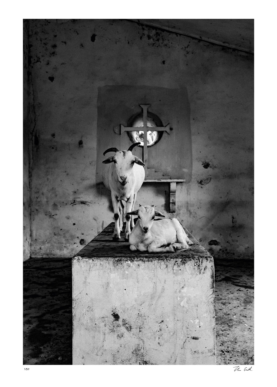 Mother &amp; Kid “Os Meninos da Roça”