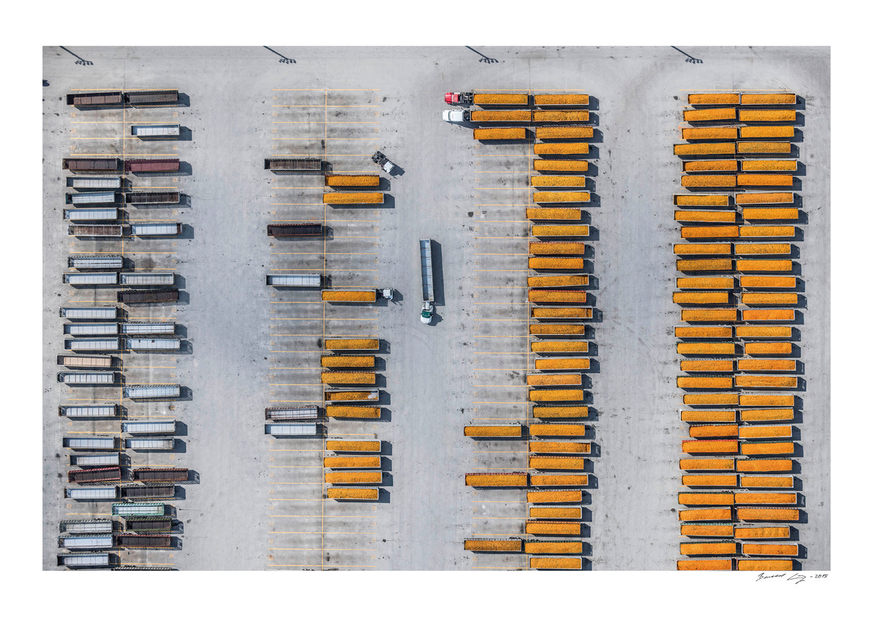 AV_Florida_Orange_Harvest